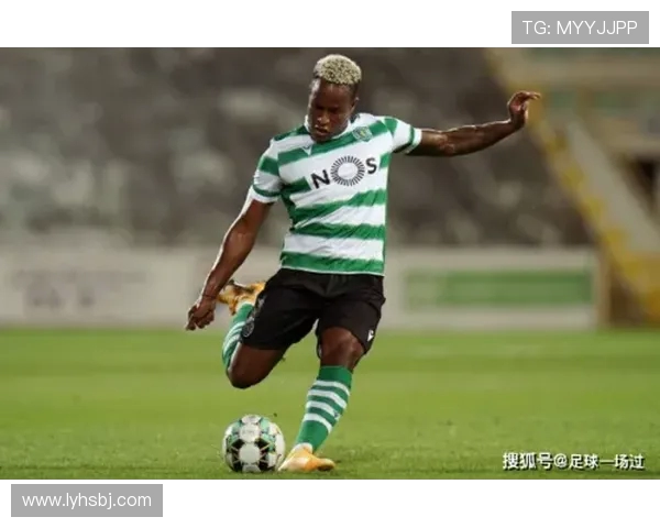 河南队全力出击新赛季展望中原雄风再起剑指联赛荣耀巅峰