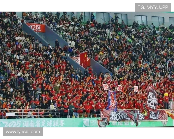 张家界足球队奋力拼搏勇创佳绩 力争在新赛季中突围打破瓶颈